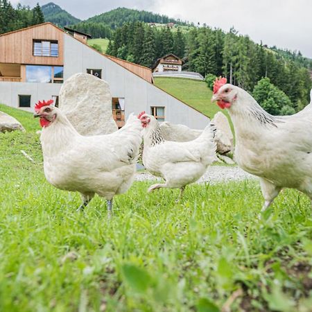 Koasa-Hof Ganzes Ferienhaus Und Sauna 5 Zimmer 240Mq Cadipietra Bagian luar foto